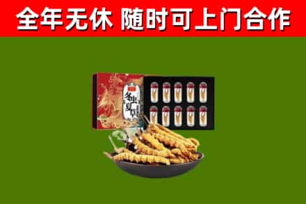 柯城烟酒回收冬虫夏草礼盒.jpg