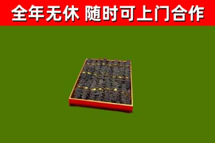 柯城回收海参